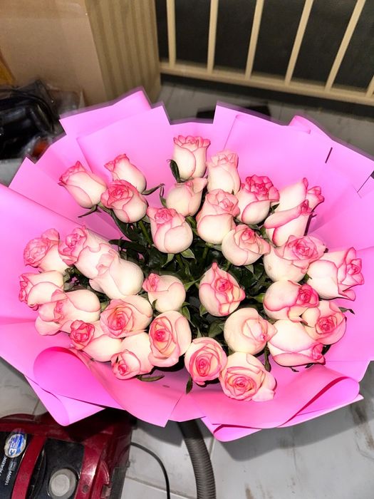 Свежий гүл солмаған