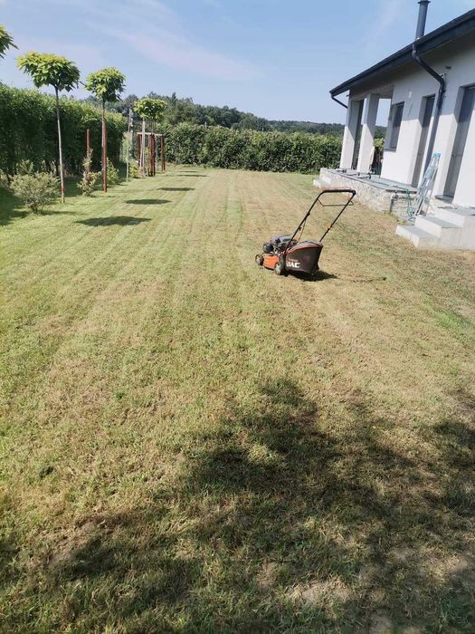 Tundem gazon buruieni lăstăriș defrișăm săpăm semănăm