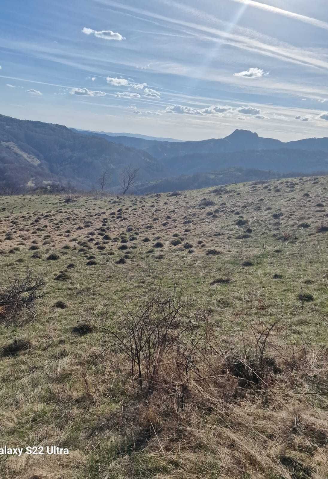 ANUNȚ de VÂNZARE teren extravilan  in        
comuna BLĂJENI, HD.