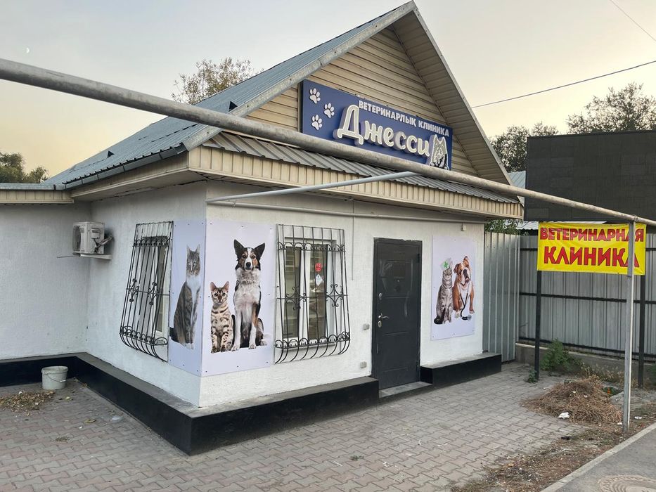 Ветеринарная клиника Джесси , вызов врача на дом