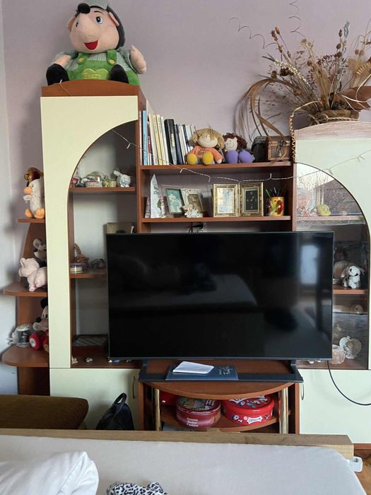 Холова секция и бюро