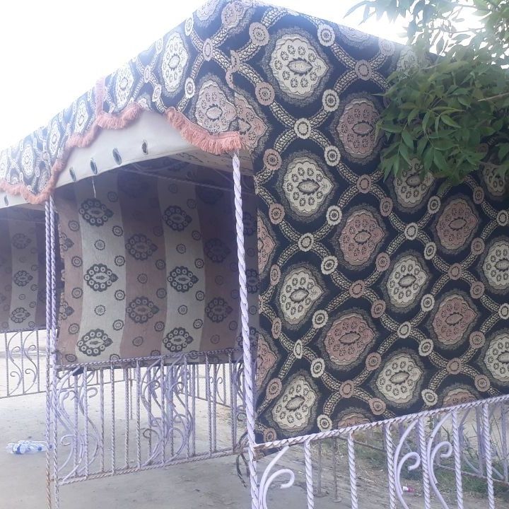 Той мерекеге шертек.