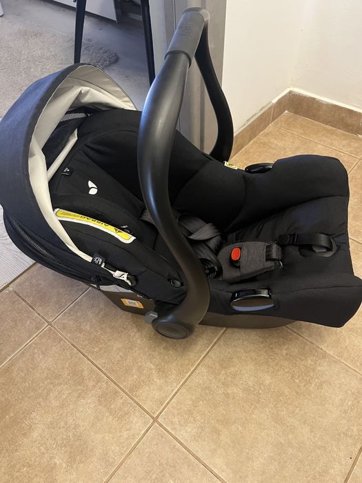 Scoică Joie I-Gemm 2