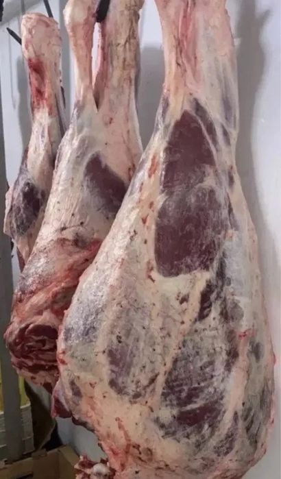 Говядина мясо ет аяқтап по казахски