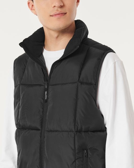 Vesta barbati  Hollister M, L