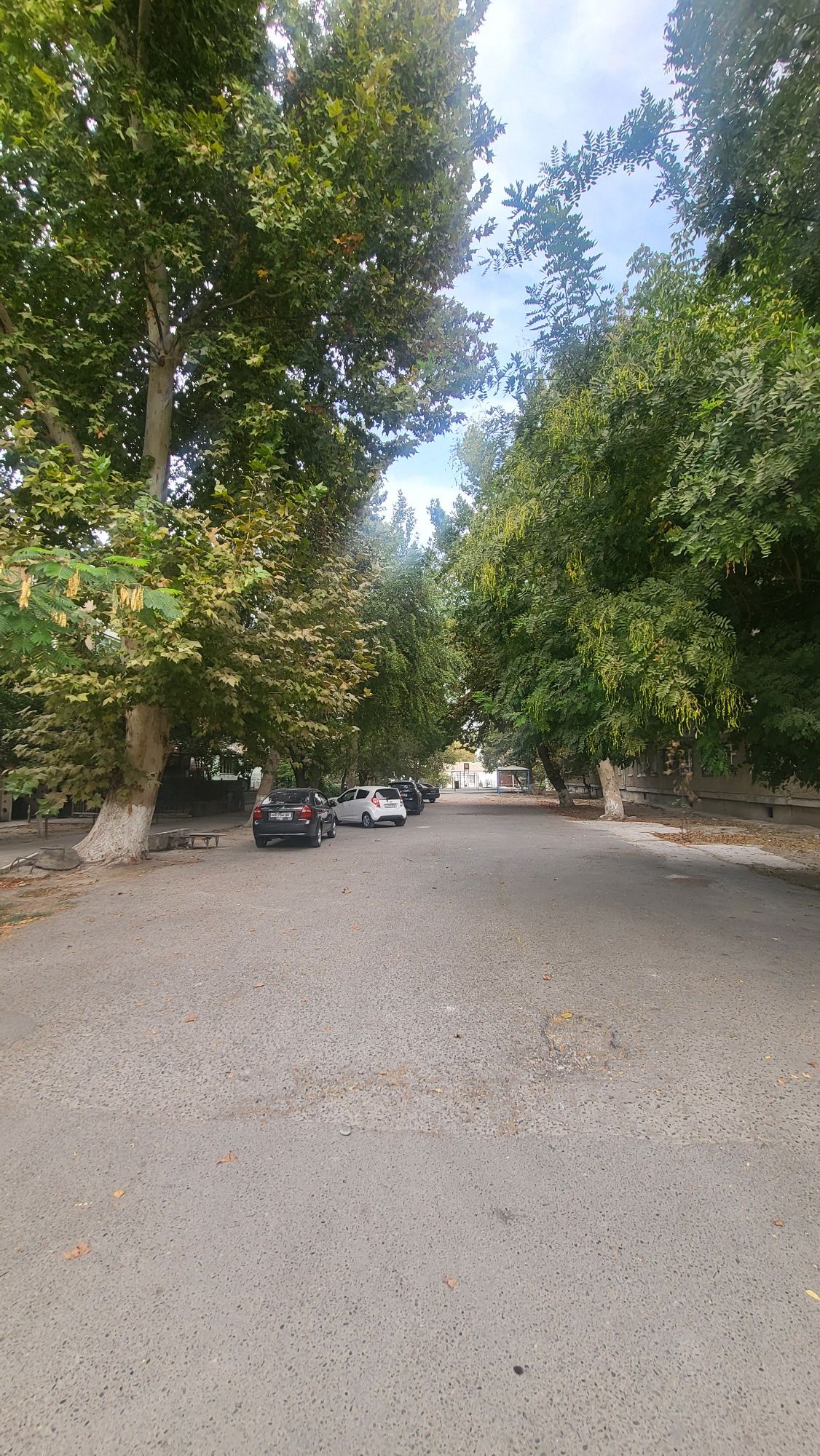 Kvartira/квартира