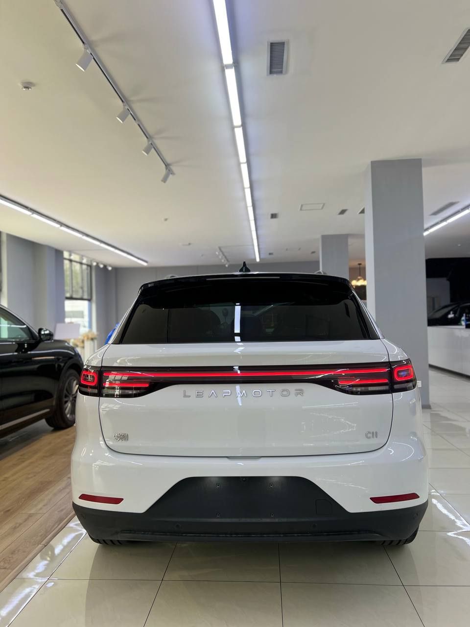 Leapmotor C11 Smart pozitsia