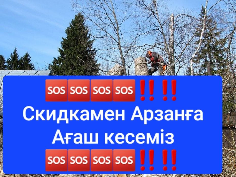 Пилим деревья БЕСПЛАТНО