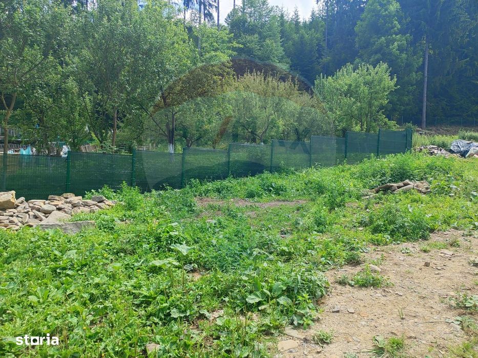 Teren in Bucovina, intravilan 3824 mp Deia-Frumosu, Suceava