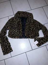 Jacheta bolero leopard blăniță