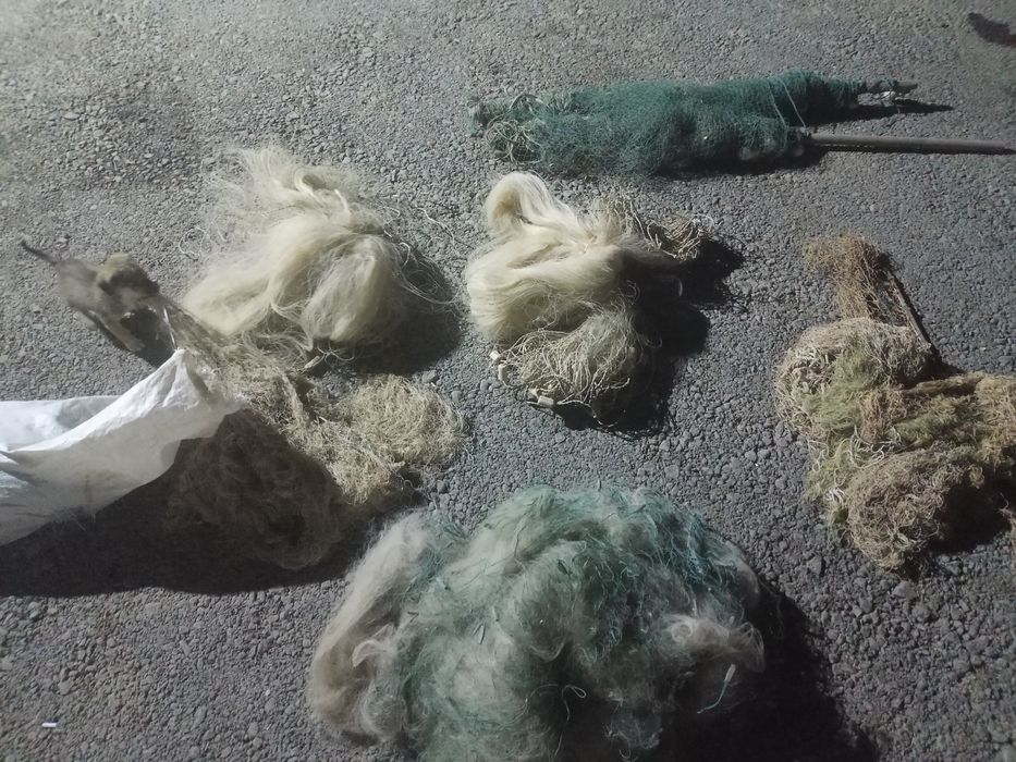 Сүзетін құратын сетка