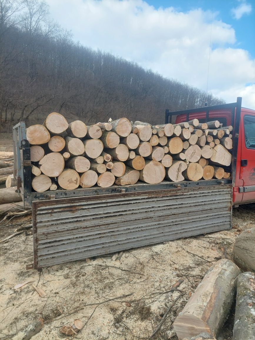 Vindem lemn de foc transport la destinație