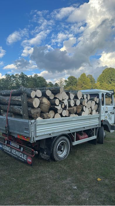 Lemne de foc esenta tare