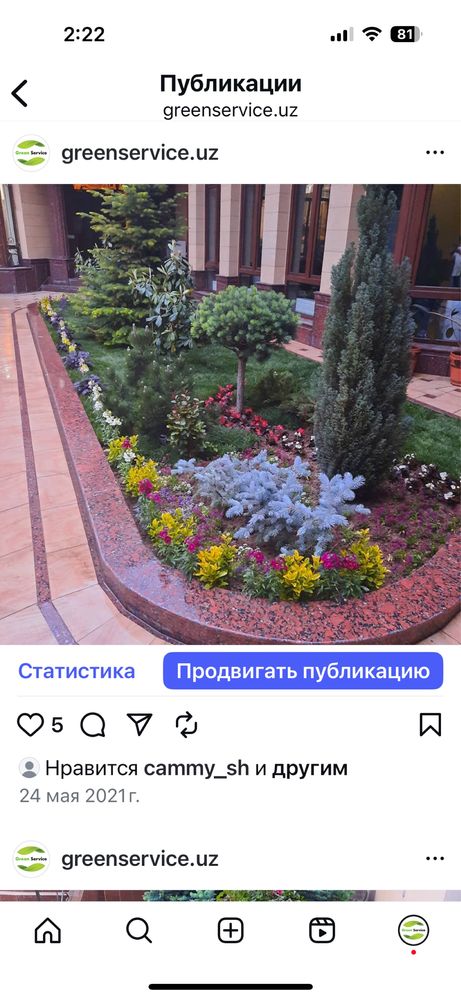 Газоны.Ландшафтный дизайн.Фонтанчики.
