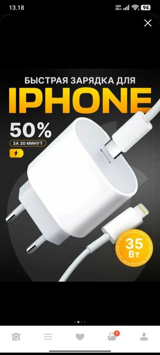 iPhone original zaryadchik