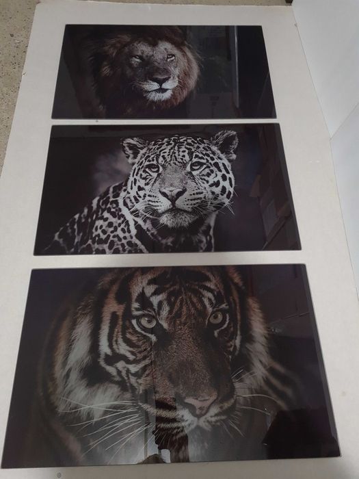 Set aplice din sticla animal print  leu tigru