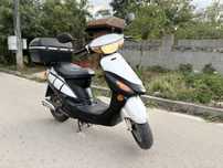QINGQI 50cc Редовен Всичко платено