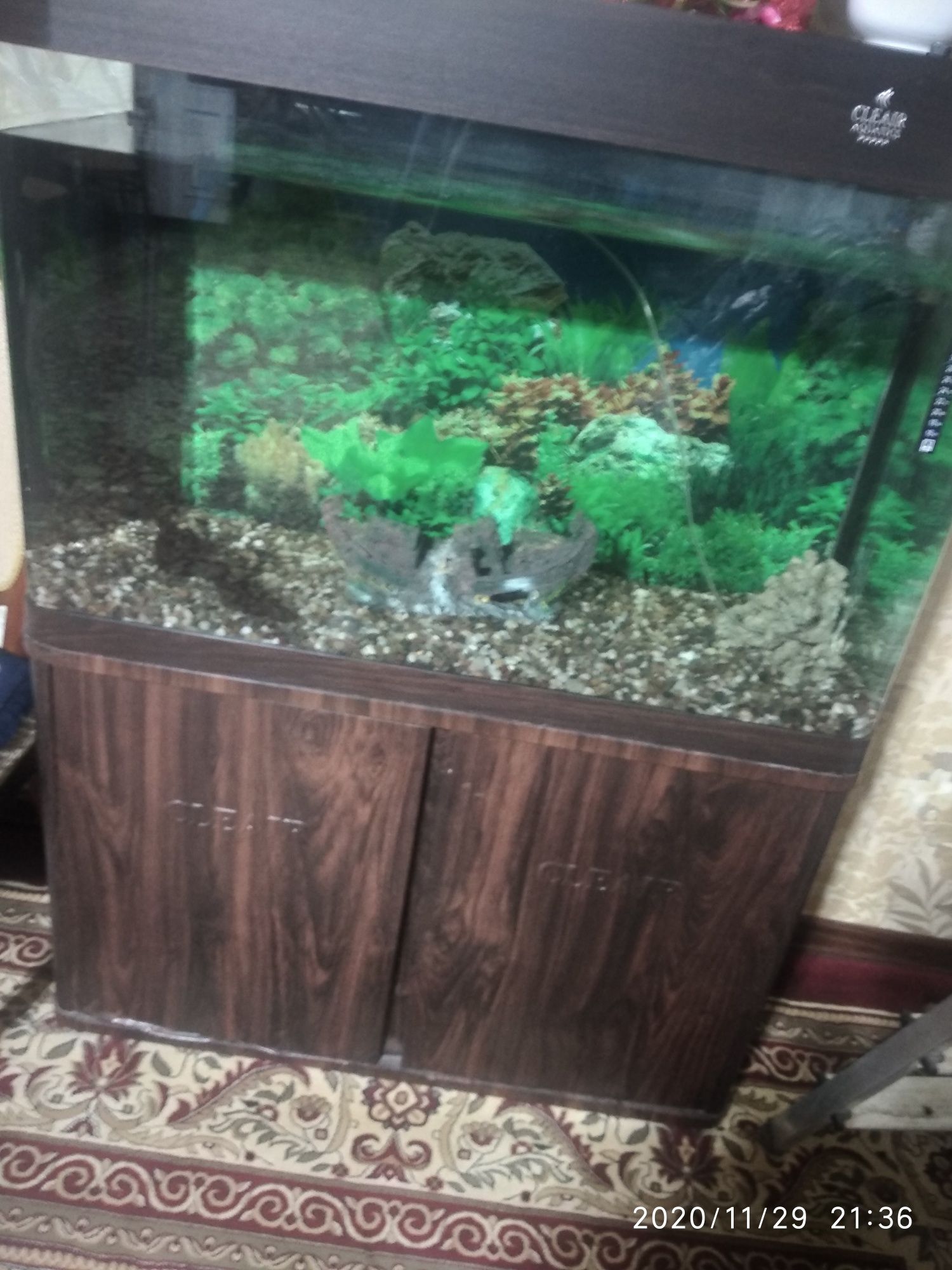 Продам аквариум cleair aquatics