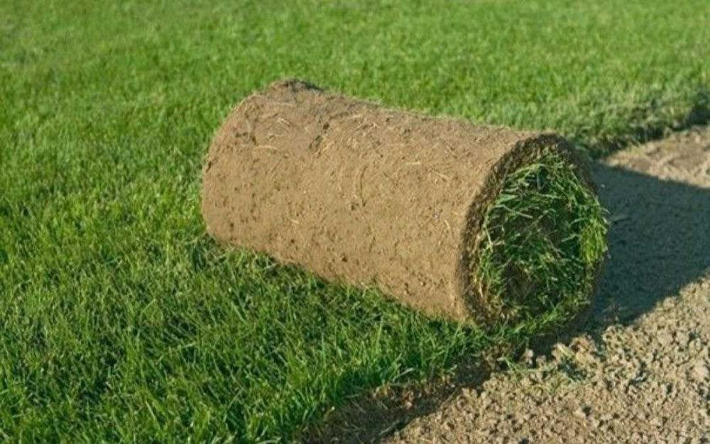 Выполняем ландшафтный дизайн, поливная система, газоны