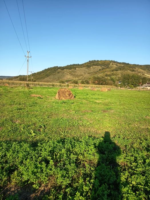 Teren de vânzare
