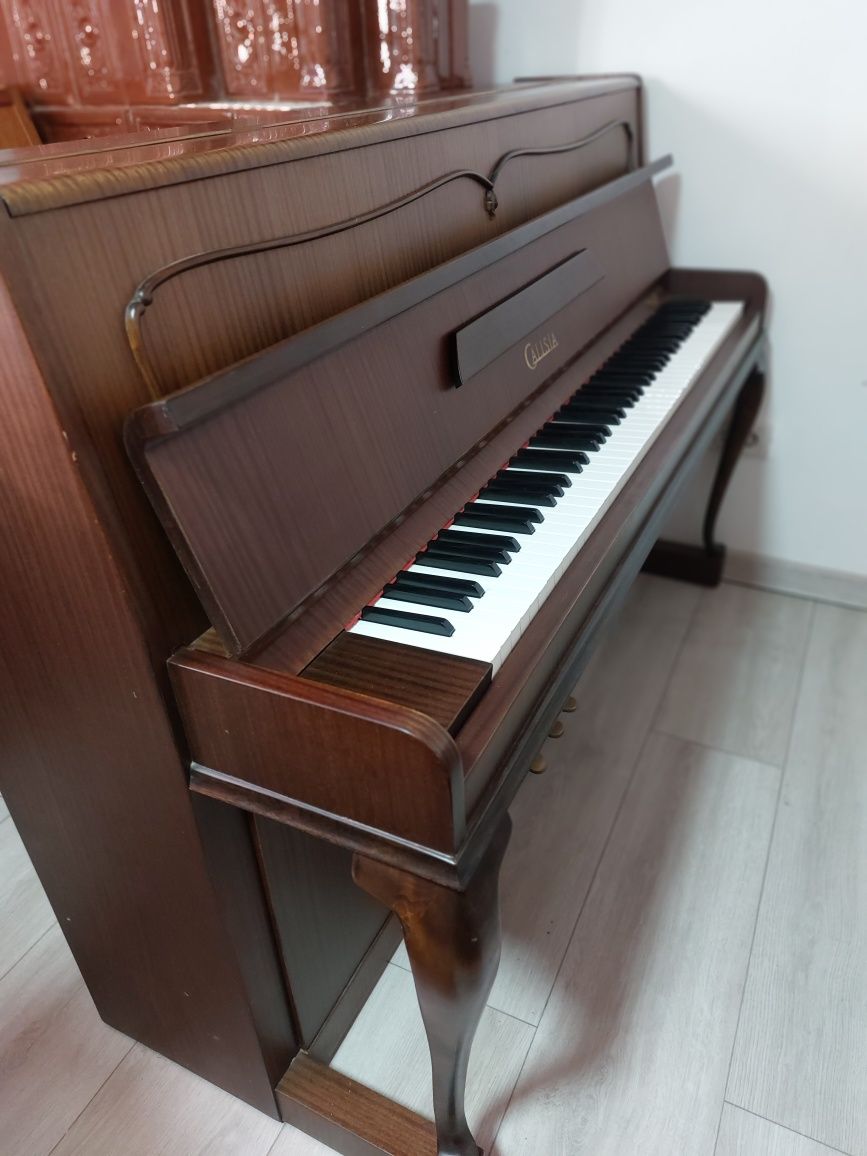 Pianina Calisia ( transport gratuit, garanție)