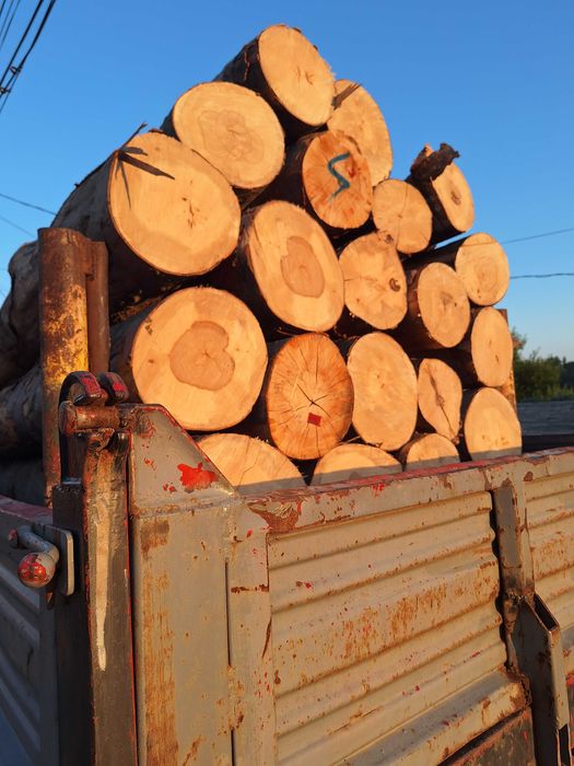 Vând lemne de foc buștean CER ,FAG esență tare. Jud.TIMIS.