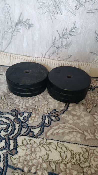 Gantel toshlari, 2.5 kg Dan