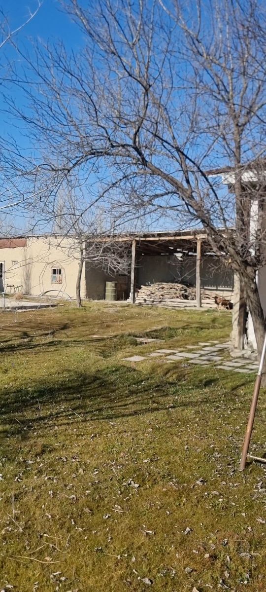 Земельный участок, дача, на против заповедника. Жомбой,