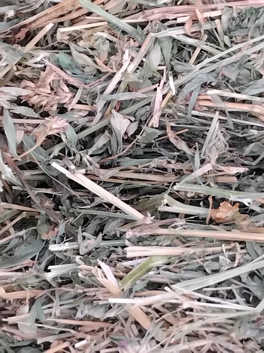 Vând baloti lucerna