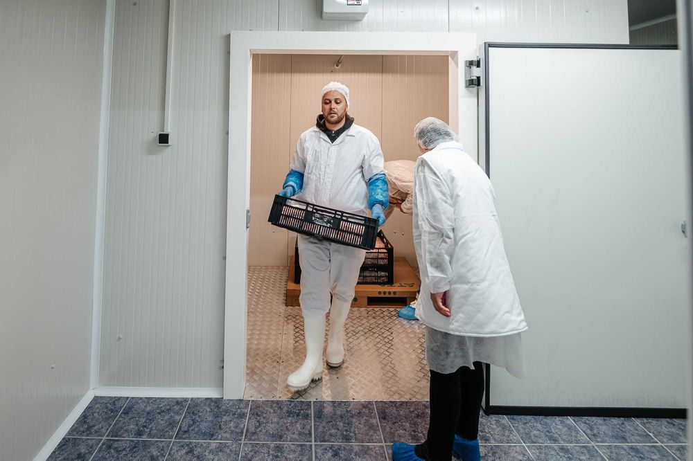 Vand afacere fabrica de shaorma