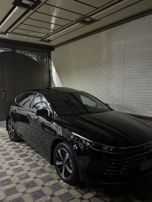 BYD Chazor Dmi 120 km Flagship