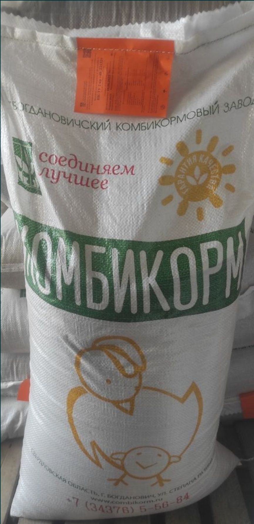 Богданович для всех видов птиц