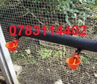 Gaini pui fazani rate prepelite pasari-ADAPATORI Cu Prindere Rapida-6G