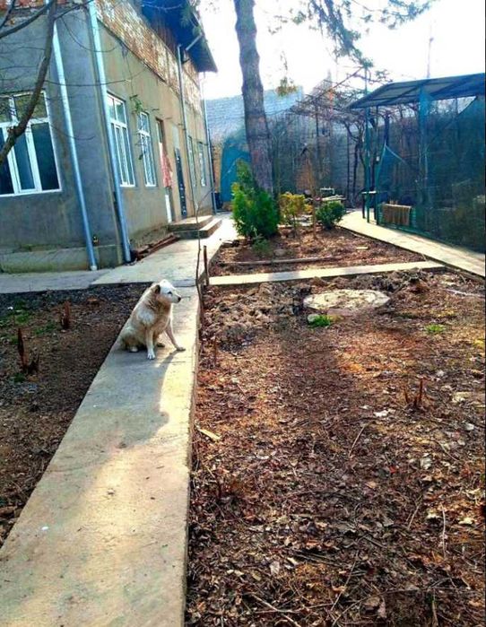 Продается земельный участок напротив Дом Кино