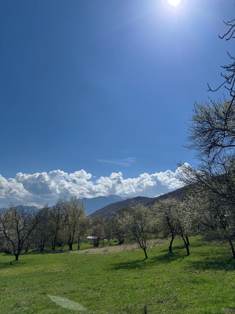 Teren la munte Bran Predelut - Via Transilvanica