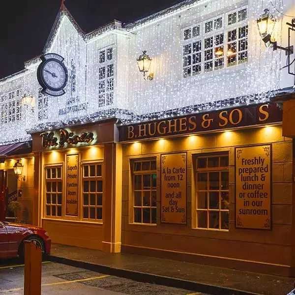 Instalatie Craciun tip perdea ploaie exterior 3x3m fir gros LED mare