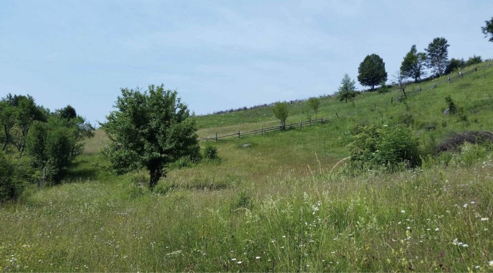 Teren Extravilan 140.000 mp(14 Hectare) SOVATA