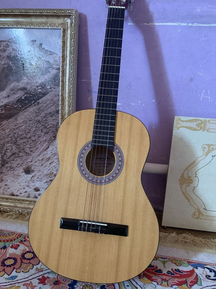 cortland gitara akostika