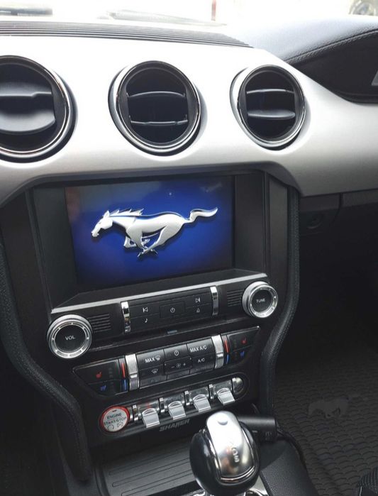 Vand ford Mustang