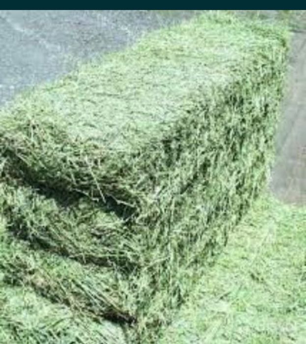 Беда пресс сотилади