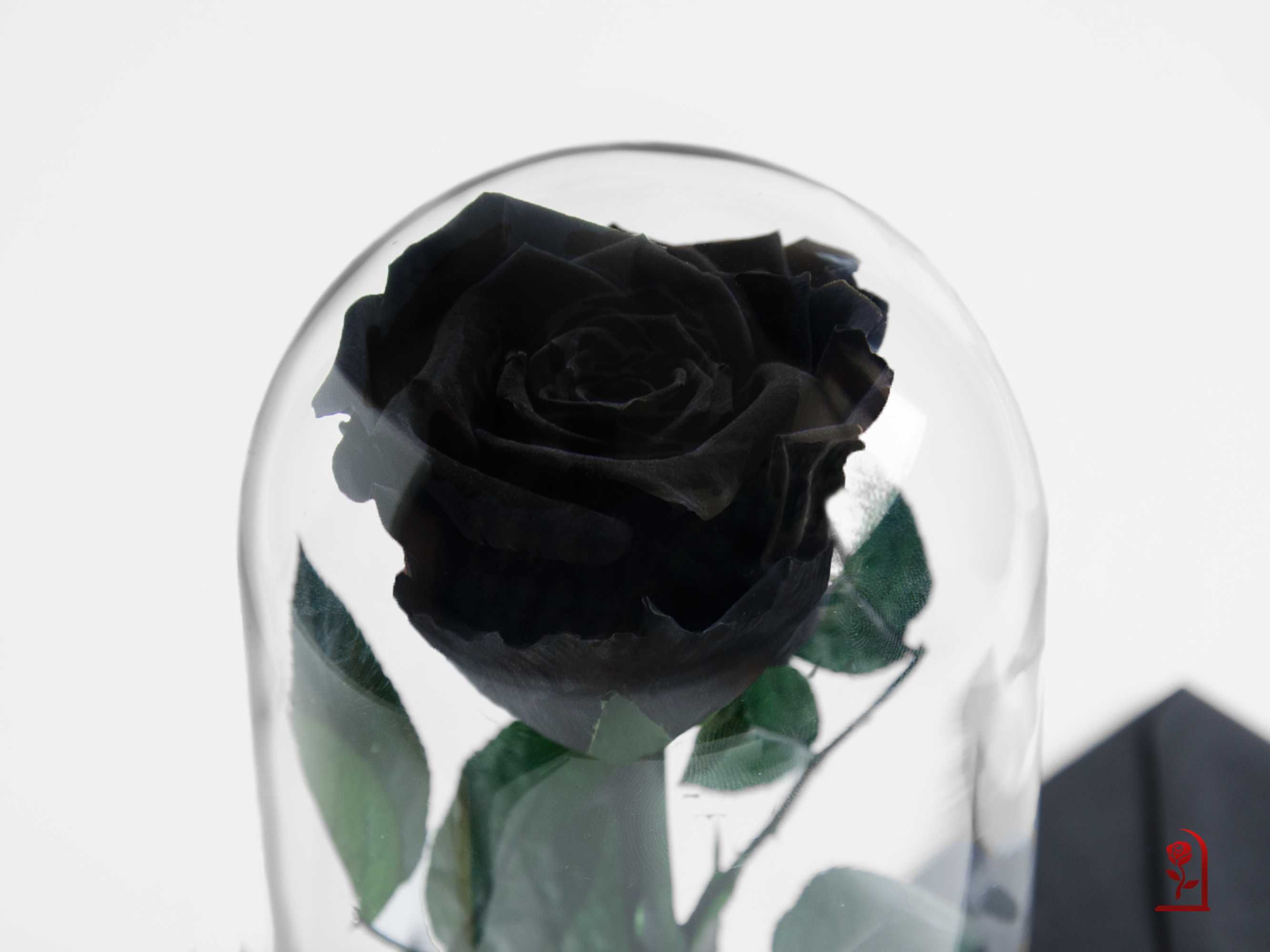 Уникален Подарък за Жена / Жива Черна Вечна Роза / Романтичен Подарък