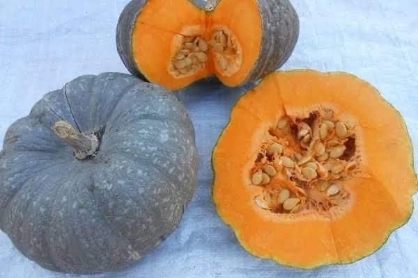 Тыква мраморная домашняя