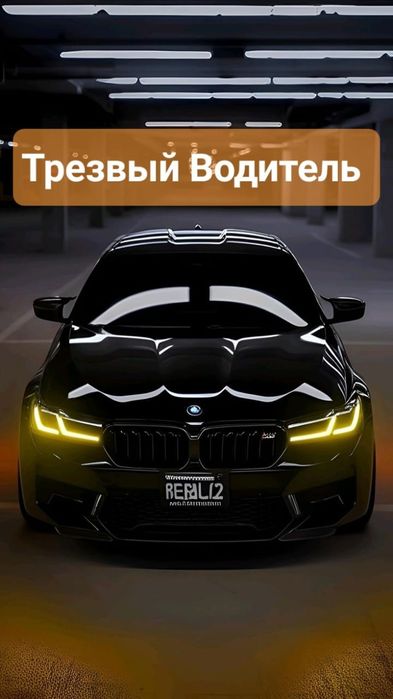 Трезвый Водитель