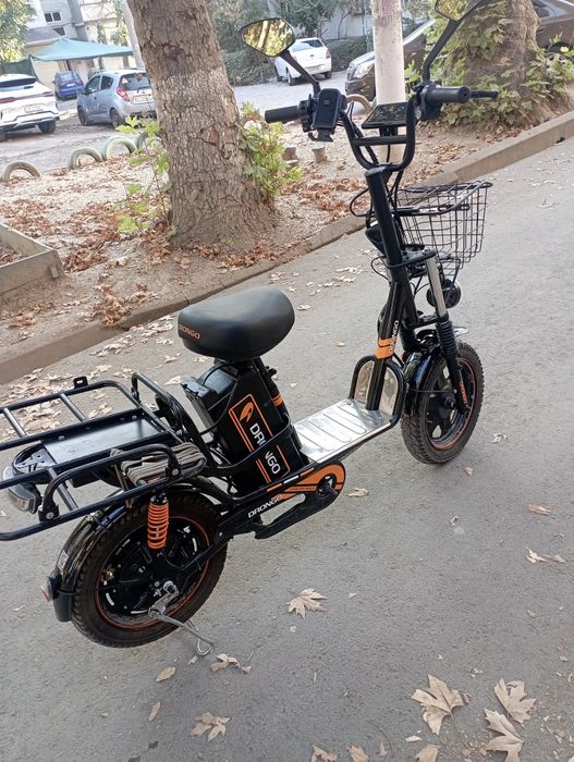 Monstr Drongo sotiladi