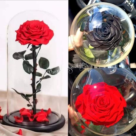 Естествена вечна роза в стъкленица