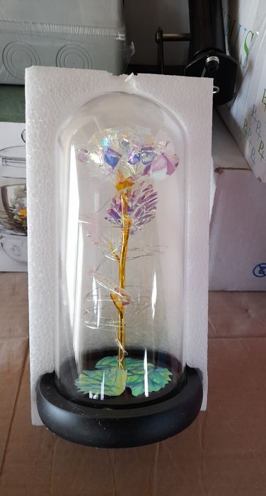 Trandafirul din plastic in cupola de sticla a fost inspirat din filmul