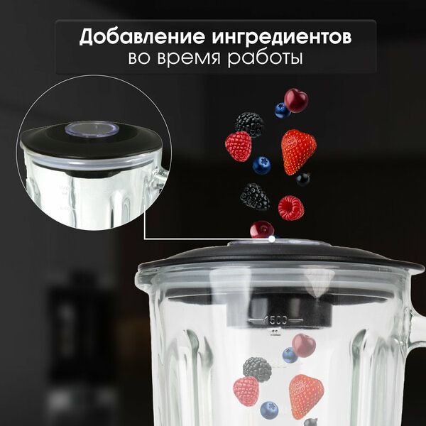 Блендер стационарный Zigmund & Shtain BS-441 D
