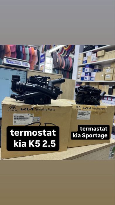 Termostat kia sportage