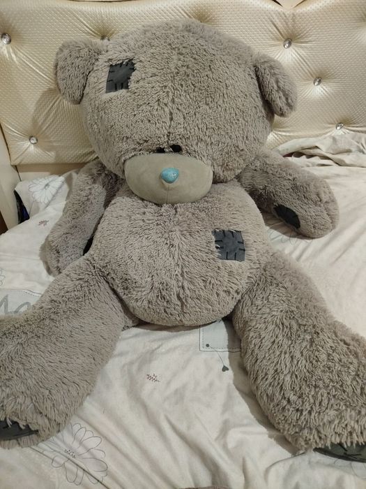 Teddy ayiq kottasimas o'rtachasi kelib korib opketaslar