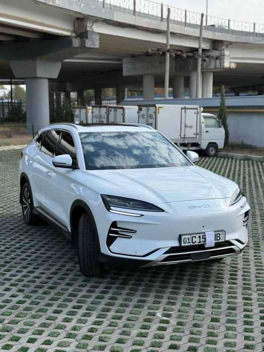 BYD champion 605 EV Full 2024